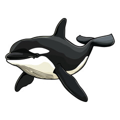 Obraz premium killer whale, marine life, animal, vector, transparent background