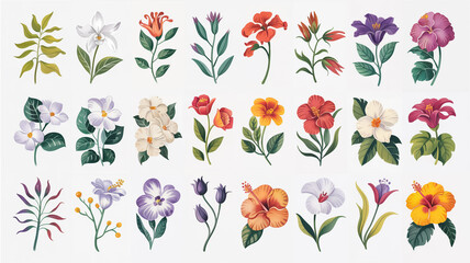 A detailed botanical illustration set of 20 watercolor-style flowers arranged in a grid layout against a white background.
