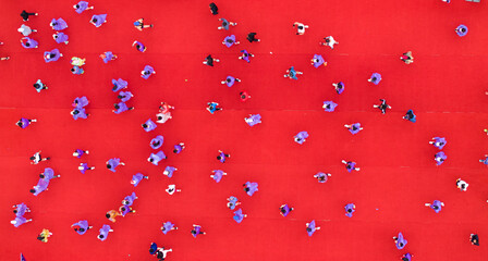 Aerial Top-Down View of Marathon Runners