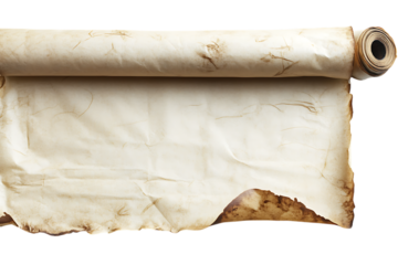 old vintage parchment paper scroll with curled edges on a transparent background