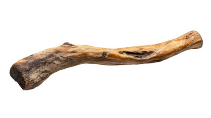 Textured snag of aged driftwood, rustic design, cut out transparent