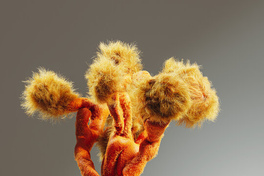 Organic plant featuring vibrant dry style hairs in abstract form - Powered by Adobe