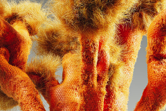Organic plant featuring vibrant dry style hairs in abstract form