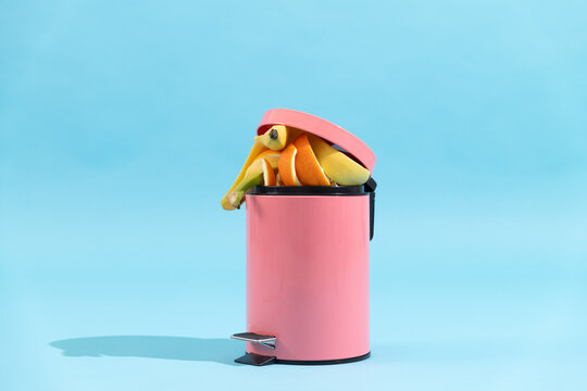 Food waste disposal, composting. Trash can on blue