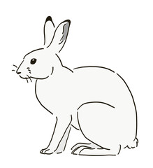 冬のニホンノウサギのイラスト
