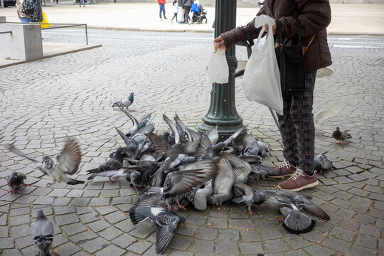 Woman feeding pigeons in an urban square