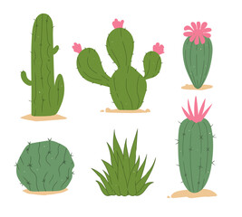 Cactuses. Desert plant, Mexican cacti flower, aloe, succulent. Cartoon decorative gardening cactus, home plants, summer Mexico nature plants. Vector flat set. Exotic botanical spiny elements.