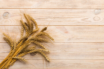 Sheaf of wheat ears close up and seeds on colored background. Natural cereal plant, harvest time...