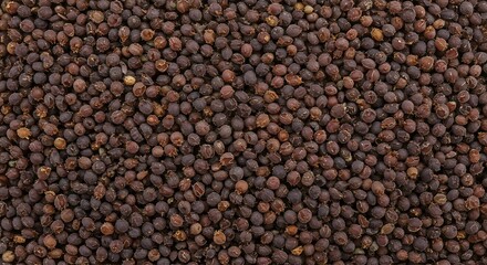 HighQuality Black Peppercorns Spice Background Texture Image