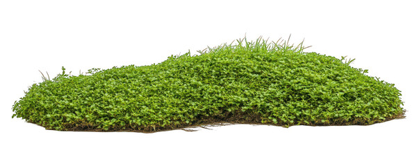 Isolate green grass hill on white background perfect for compositing elements