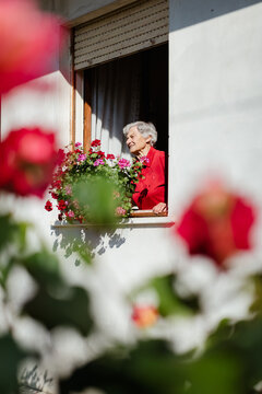 An elderly woman looking out of the window on a sunny spring day