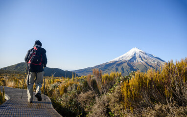 Hiking Pouakai Circuit track. Snow-capped Mt Taranaki in the distance. Egmont National Park. New Zealand.