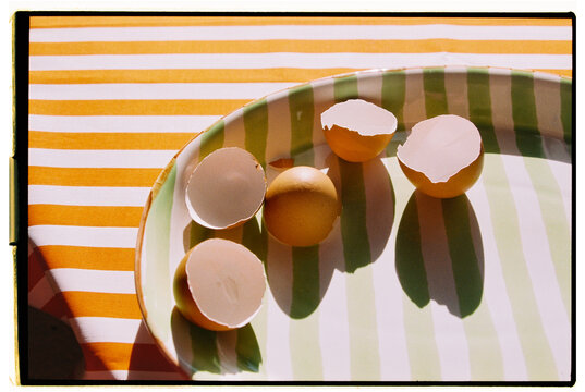 Art still life with eggshells