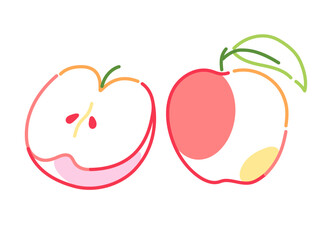 Apple fruit drawn in minimalistic linear style with seeds and colorful segments. Flat vector illustration of healthy foods
