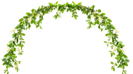 Decorative Floral Arch Made of Green Leaves and Delicate White Flowers on a Transparent Background
