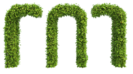 Decorative Green Arch Made of Lush Foliage with Transparent Background for Garden Design