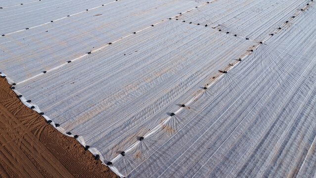 A drone shot of a field covered in plastic to protect crops