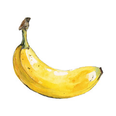 Watercolour illustration of a ripe yellow banana with realistic texture and shadow, isolated with transparent background