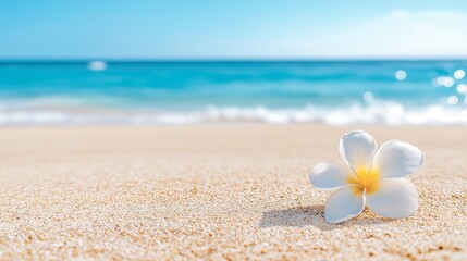 Fototapeta premium Close-up of a single white plumeria flower resting on golden sand with a blurred turquoise ocean background, symbolizing peace, tropical serenity and beach calmness