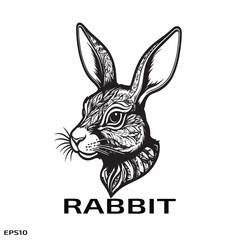 vector illustration of a rabbit