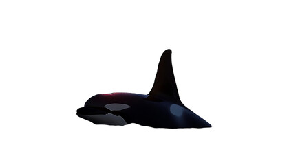 Orca Silhouette Against Dark Background