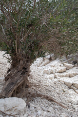Barranco del infierno hike