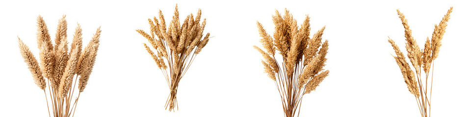 Fototapeta premium Bundle of golden wheat stalks