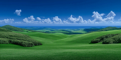 Expansive Meadow Under Blue Sky: A captivating panoramic vista of rolling green hills bathed in the warm light of the sun, with a sprawling meadow stretching towards the horizon.