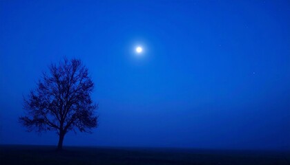 Serene Nightscape Lone Tree Silhouetted Against a Full Moon and Deep Blue Sky