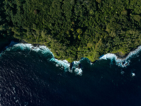 Top down aerial view of tropical lush jungle coastline