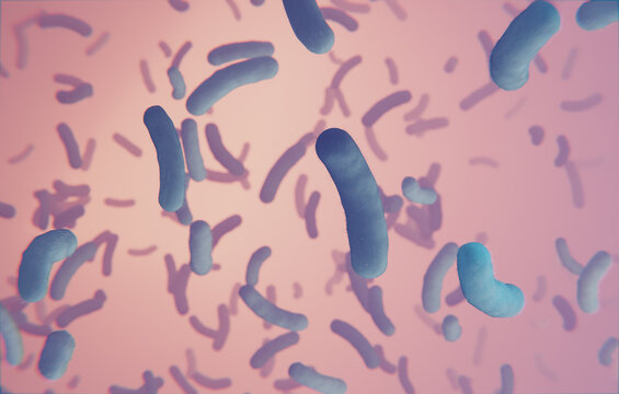 A close up of a bacteria.