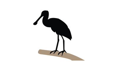 African spoonbill bird Silhouette Design  And Vector Illustration. 