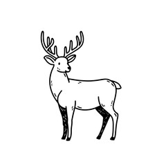 Obraz premium Charming vector illustration of a deer with antlers, perfect for wildlife-themed designs. Ideal for nature lovers, forest-themed projects, and educational materials. Rustic, sketch-style.