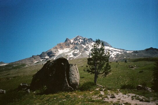 landscape nature of mt. hood timberline trail 