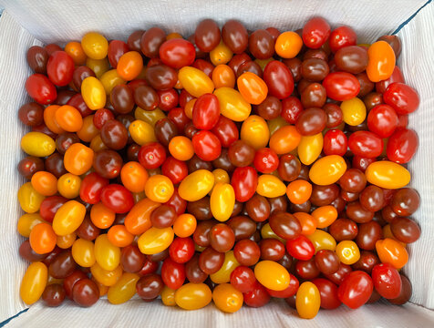 small tomatoes