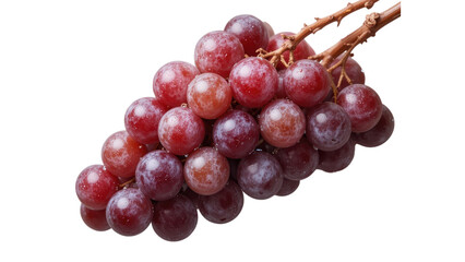 Fototapeta premium Bunch of vibrant reddish-purple grapes, with evident individual berries, isolated on transpraent png