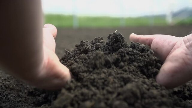 Close-up of hands inspecting fertile soil