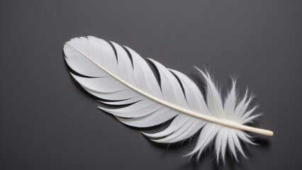 Obraz premium Delicate White Feather on Dark Background - Close-up of Bird Plumage, Abstract Purity and Lightness