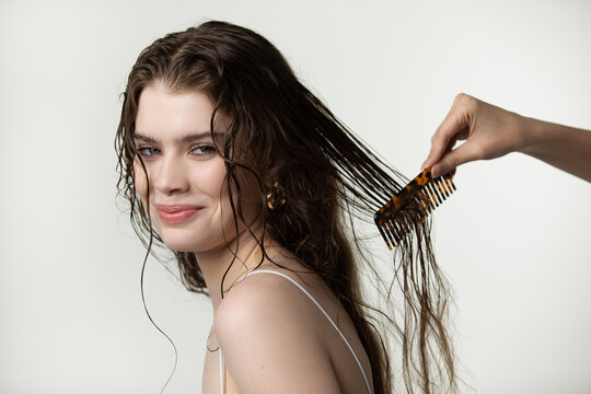 Professional hair care in beauty salon concept