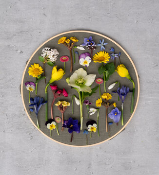 Spring flowers on a embroidery hoop