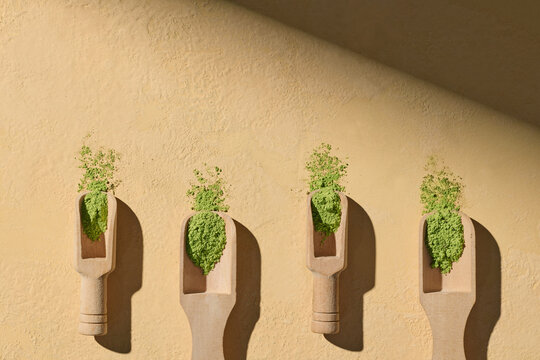 Wooden Scoops Filled With Green Powder Against Rustic Background
