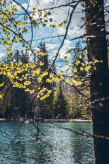 Tourist discovery of the green lake of Passy and Chamonix, Mont Blanc, in Haute-Savoie, France