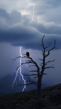 Eagle perched on dead tree in storm with lightning striking far hills. Cinematic moment, raw power, silhouette tension.
