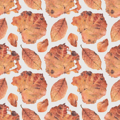 Elegant hand drawn pattern design with illustrations of fallen leaves. Perfect for home textile, wallpapers, fabrics, apparel, packaging design, stationery and other printed goods