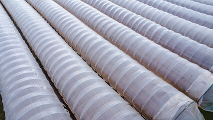 Aerial shot of rows of polytunnels in a field