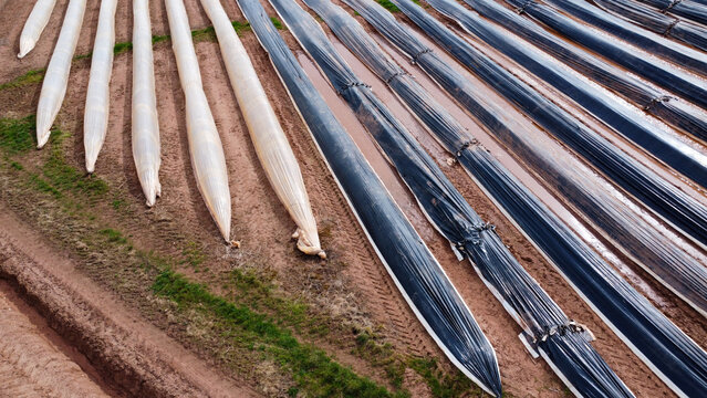 Drone shot of rows of small polytunnels on farmland.