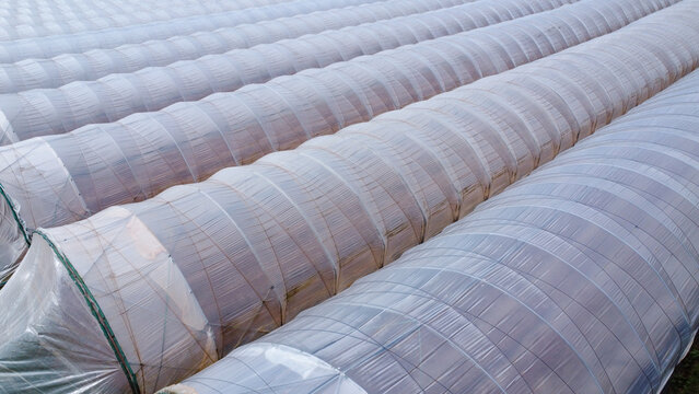 Drone shot of rows of polytunnels on farmland.