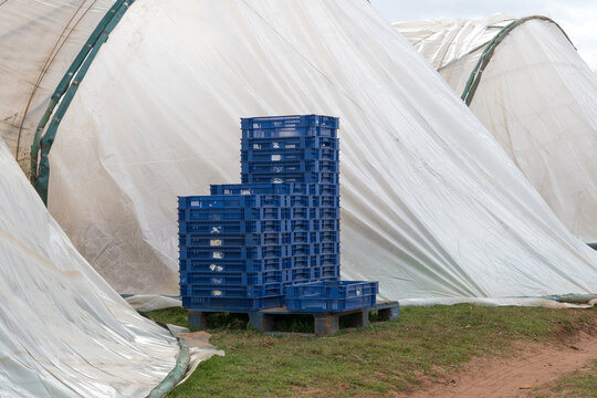 Crates stacked next to polytunnels on a farm