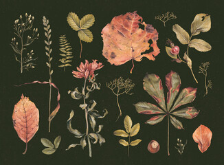 Hand drawn illustration of dried herbs, leaves and flowers. Perfect for posters, home textile, wall decor, apparel, packaging design, stationery and other printed goods