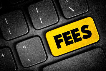 FEES - the price one pays as remuneration for rights or services, text concept button on keyboard